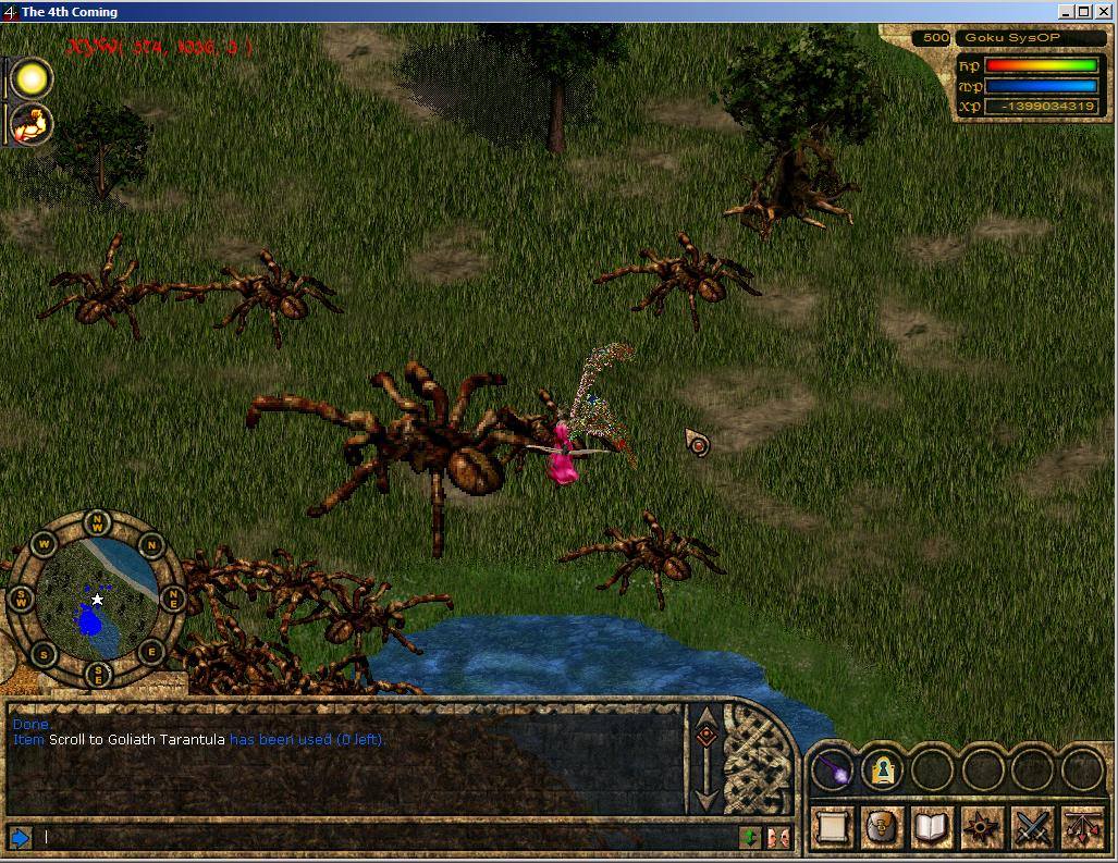 Golaith Tarantula Golaith Tarantula